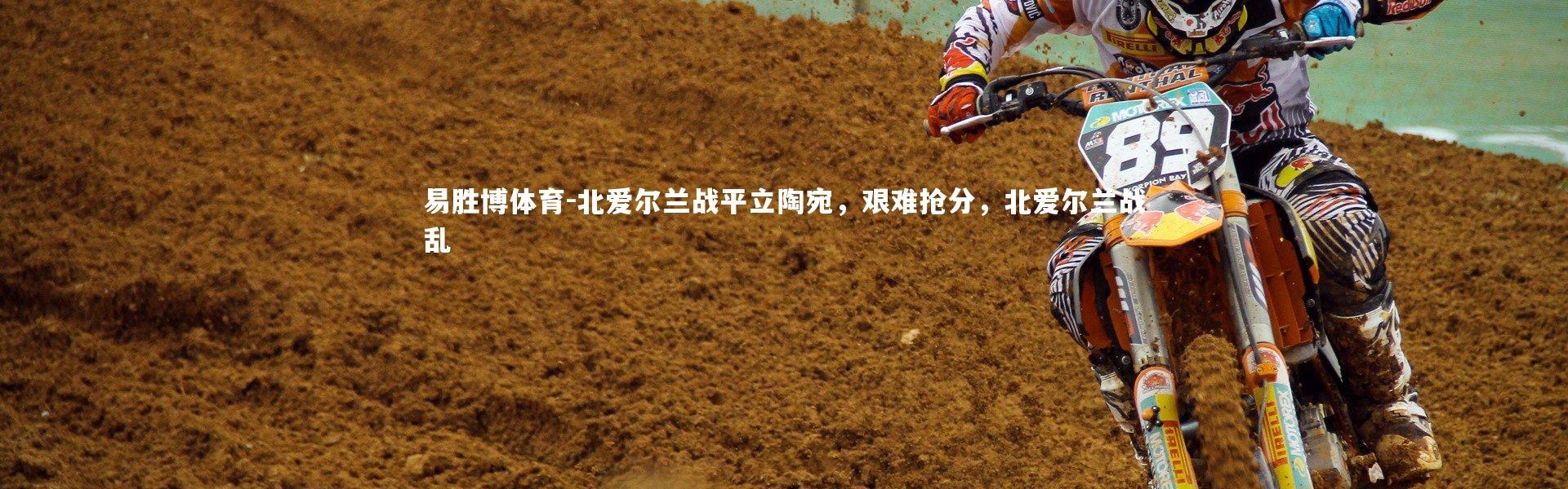 易胜博体育-北爱尔兰战平立陶宛，艰难抢分，北爱尔兰战乱