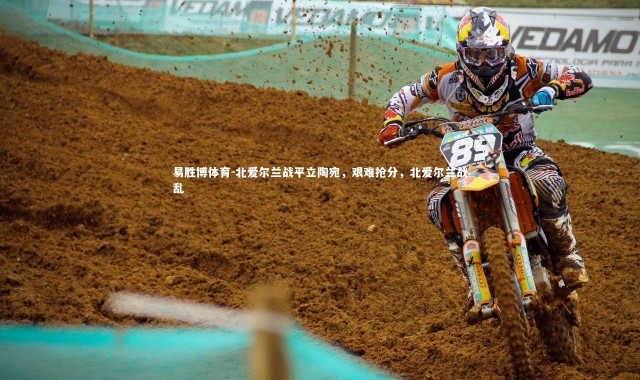 易胜博体育-北爱尔兰战平立陶宛，艰难抢分，北爱尔兰战乱