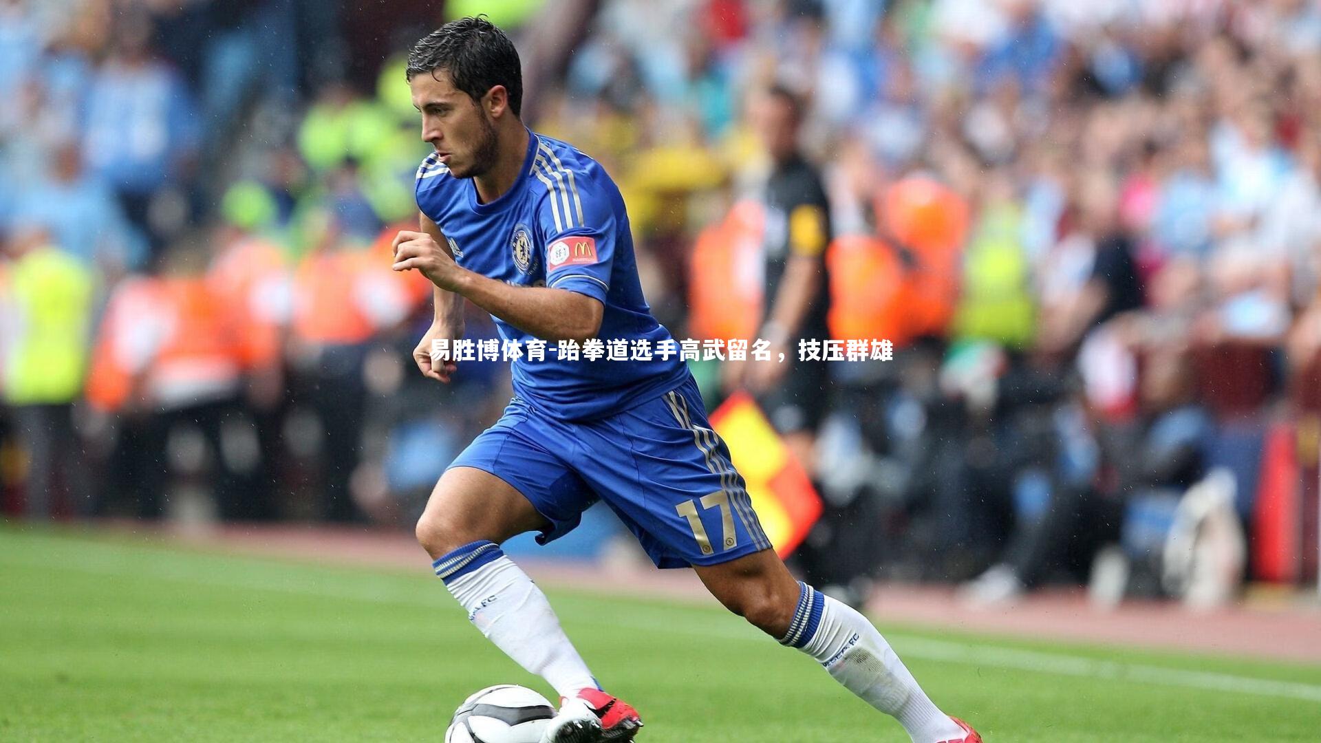 跆拳道选手高武留名,技压群雄