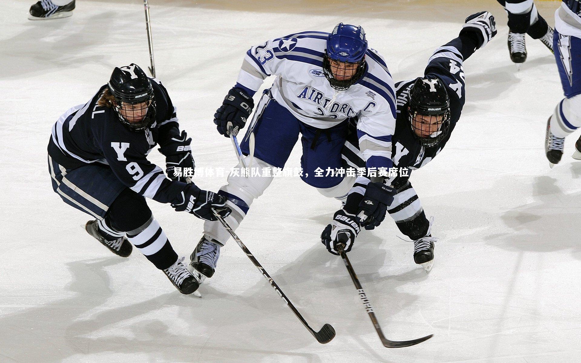 灰熊队重整旗鼓，全力冲击季后赛席位