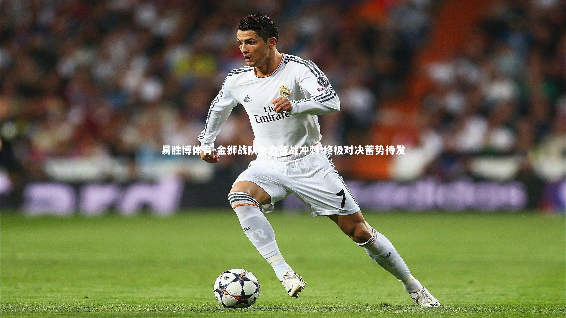 金狮战队全力备战冲刺 终极对决蓄势待发