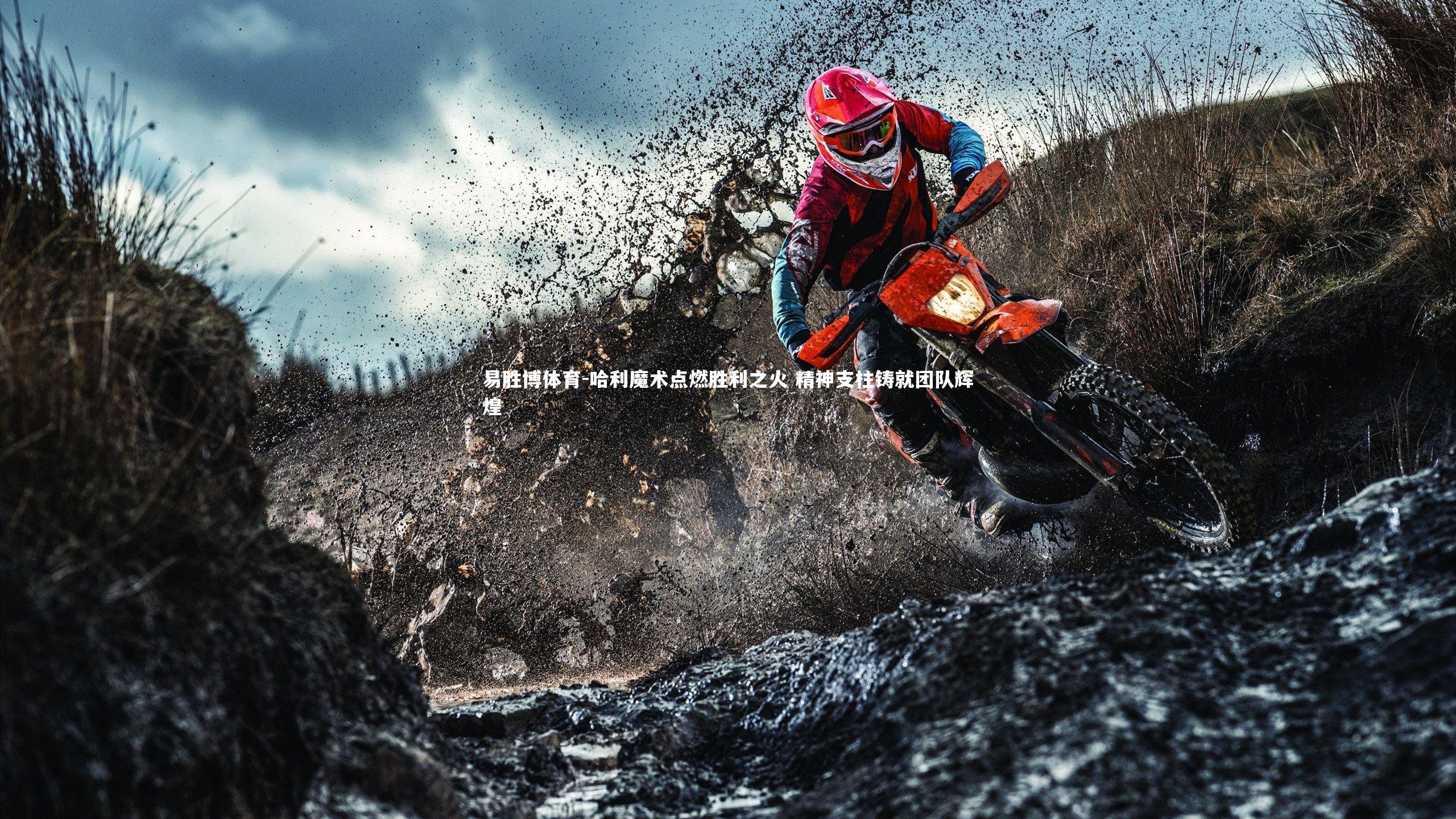 哈利魔术点燃胜利之火 精神支柱铸就团队辉煌