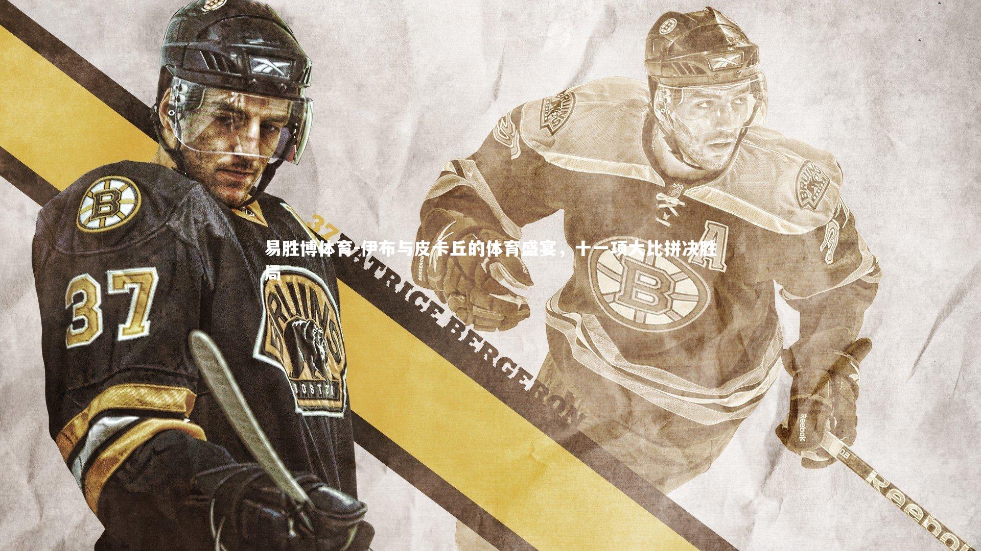 伊布与皮卡丘的体育盛宴,十一项大比拼决胜局