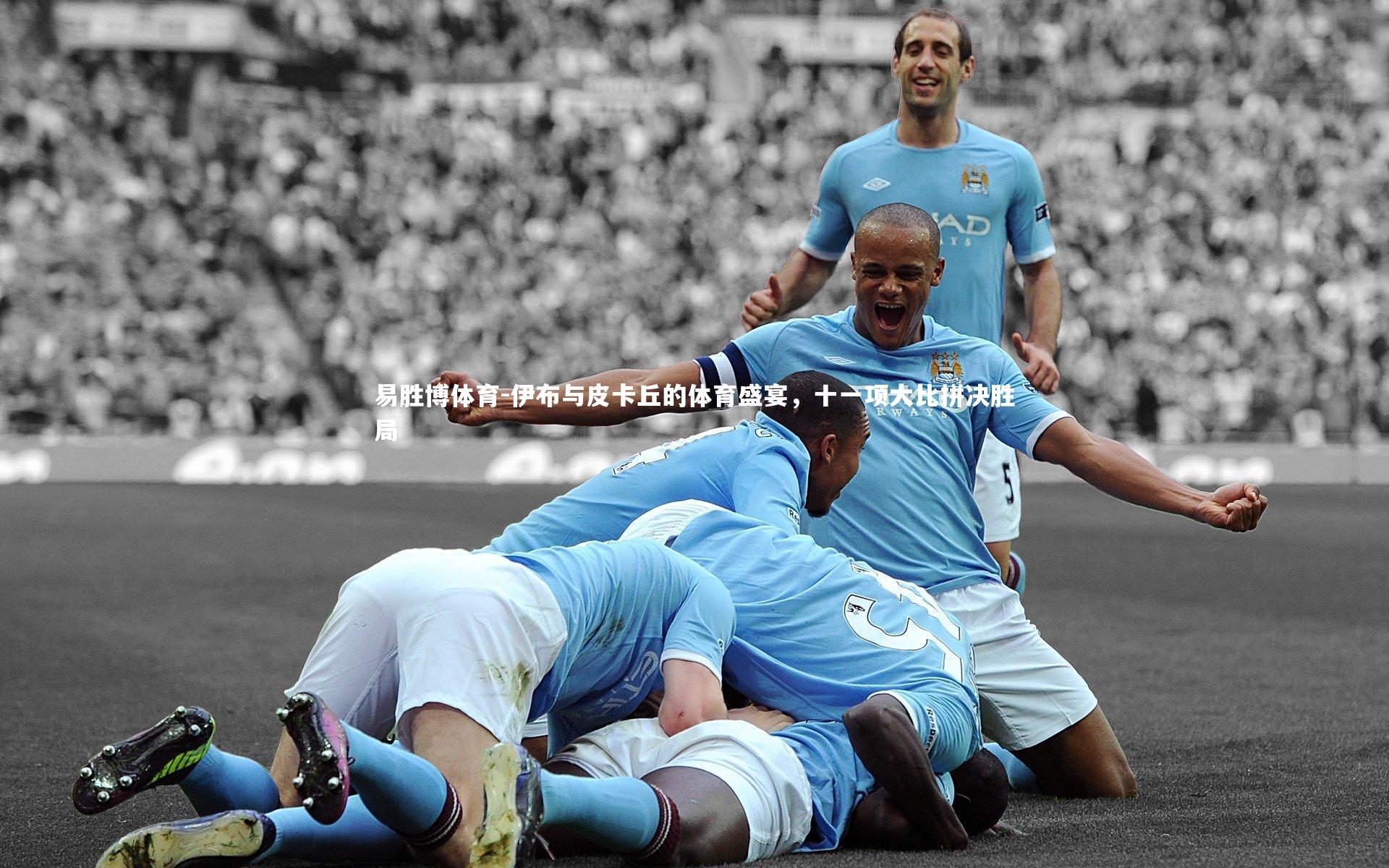 伊布与皮卡丘的体育盛宴,十一项大比拼决胜局